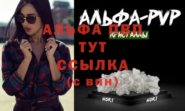 ГАЛЛЮЦИНОГЕННЫЕ ГРИБЫ Беломорск