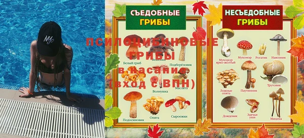 гидропоника Белокуриха