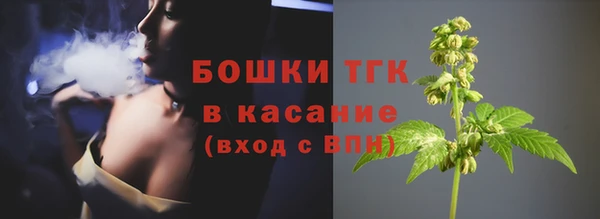ПСИЛОЦИБИНОВЫЕ ГРИБЫ Белоозёрский