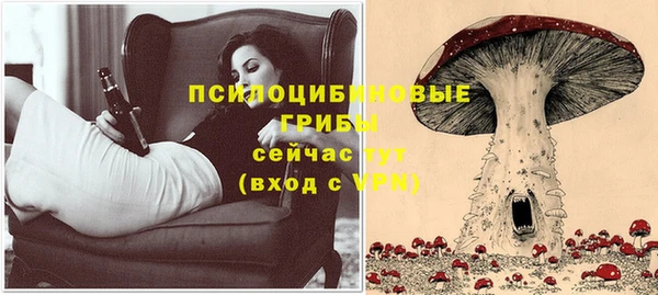 ГАЛЛЮЦИНОГЕННЫЕ ГРИБЫ Беломорск