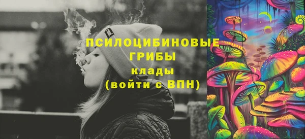 ПСИЛОЦИБИНОВЫЕ ГРИБЫ Белоозёрский