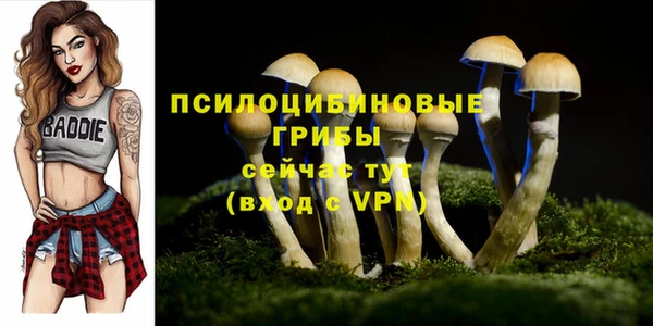 ПСИЛОЦИБИНОВЫЕ ГРИБЫ Белоозёрский