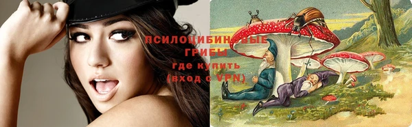 ПСИЛОЦИБИНОВЫЕ ГРИБЫ Белоозёрский