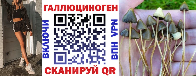 где можно купить наркотик  Кушва  Галлюциногенные грибы мухоморы 